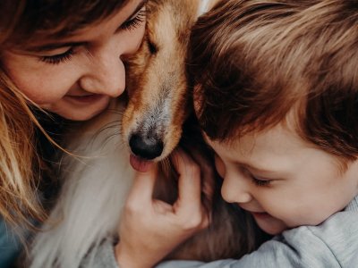 Der optimale Familienhund: Tipps zur Auswahl
